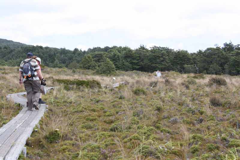 Nieuw-Zeeland 2011 - 0833